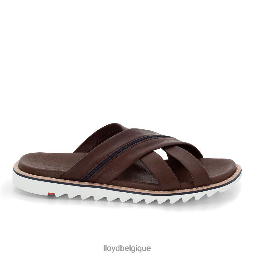 LLOYD Edvino Hommes brun 4Z6Z66584 chaussures