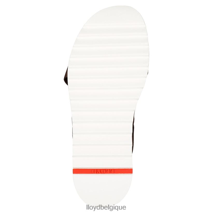 LLOYD Edvino Hommes brun 4Z6Z66584 chaussures