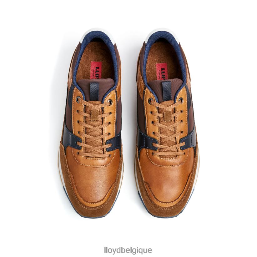 LLOYD Eiron Hommes brun 4Z6Z66293 chaussures