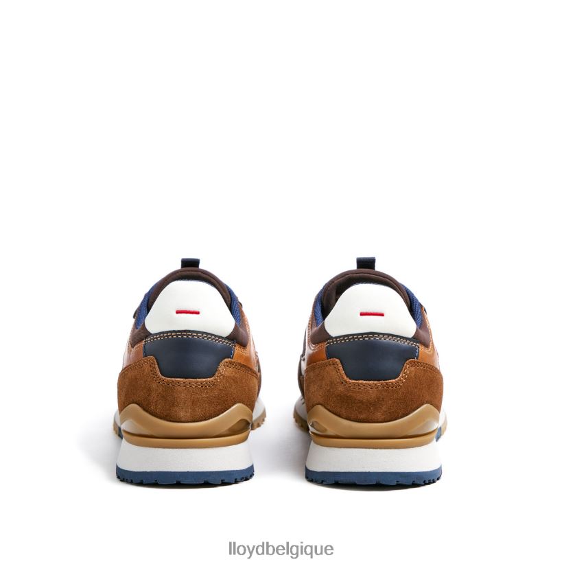 LLOYD Eiron Hommes brun 4Z6Z66293 chaussures