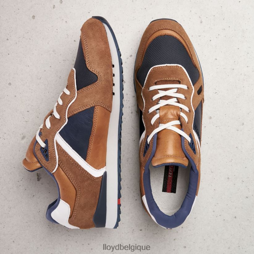 LLOYD Elja Hommes brun 4Z6Z66373 chaussures