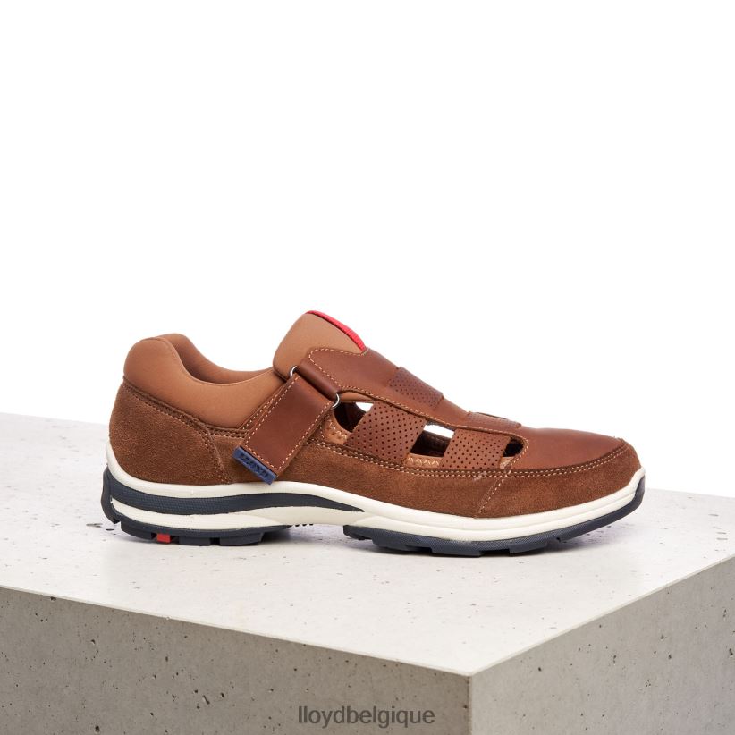 LLOYD Elrado Hommes brun 4Z6Z66625 chaussures