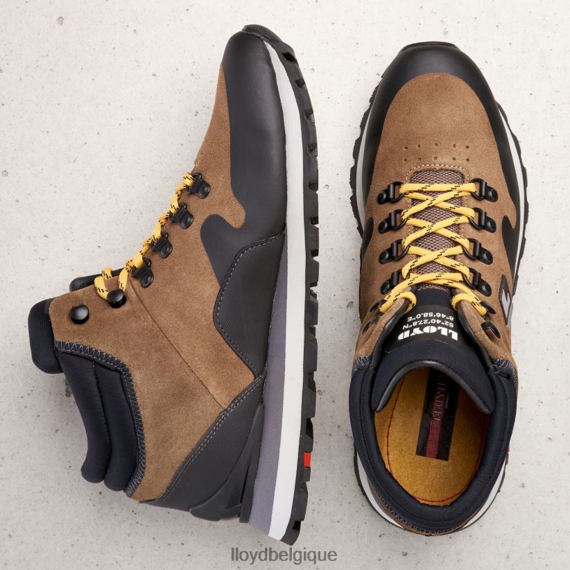 LLOYD Elwas Hommes brun 4Z6Z66551 chaussures