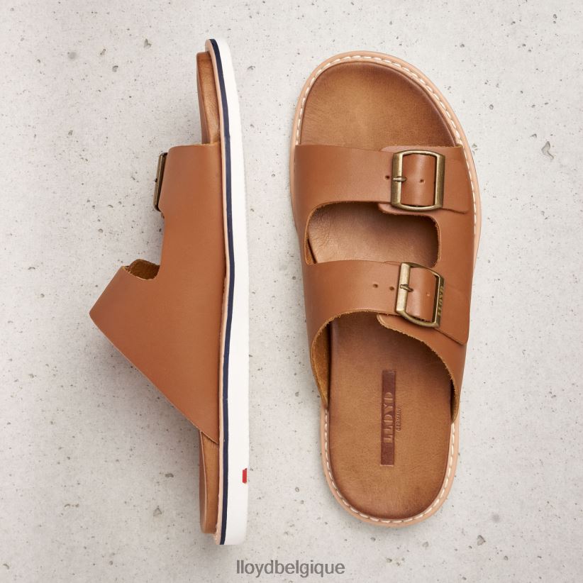 LLOYD Emerson Hommes brun 4Z6Z66579 chaussures