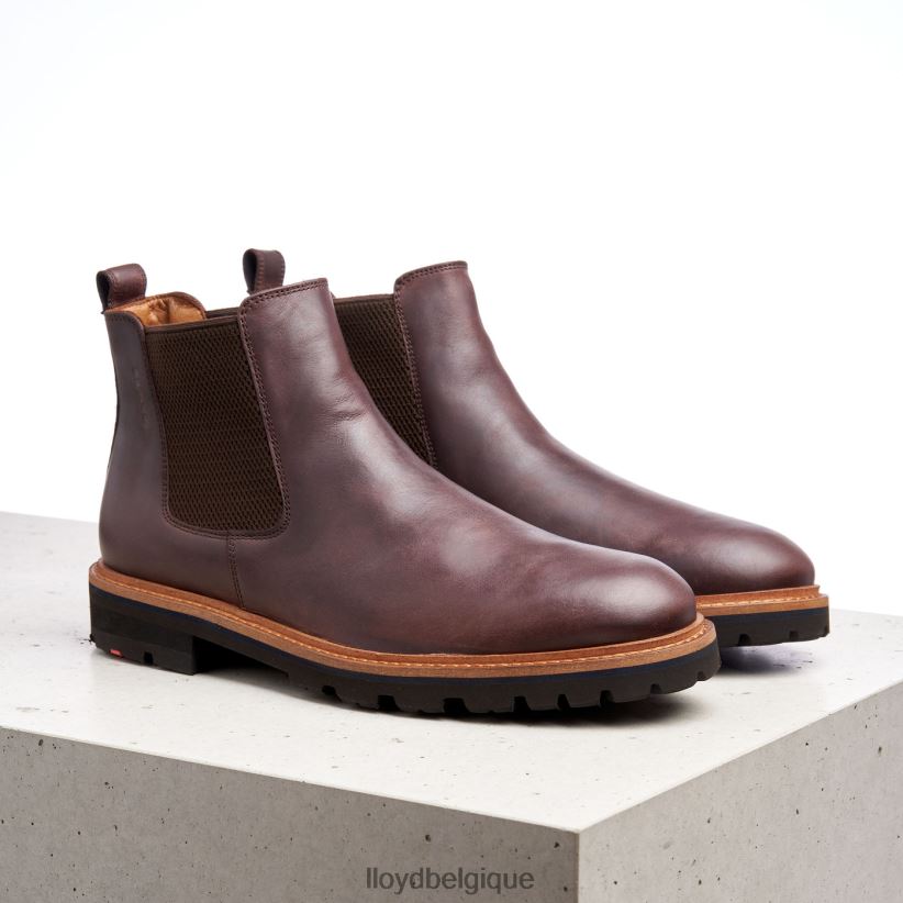 LLOYD Fedor Hommes brun 4Z6Z66523 chaussures