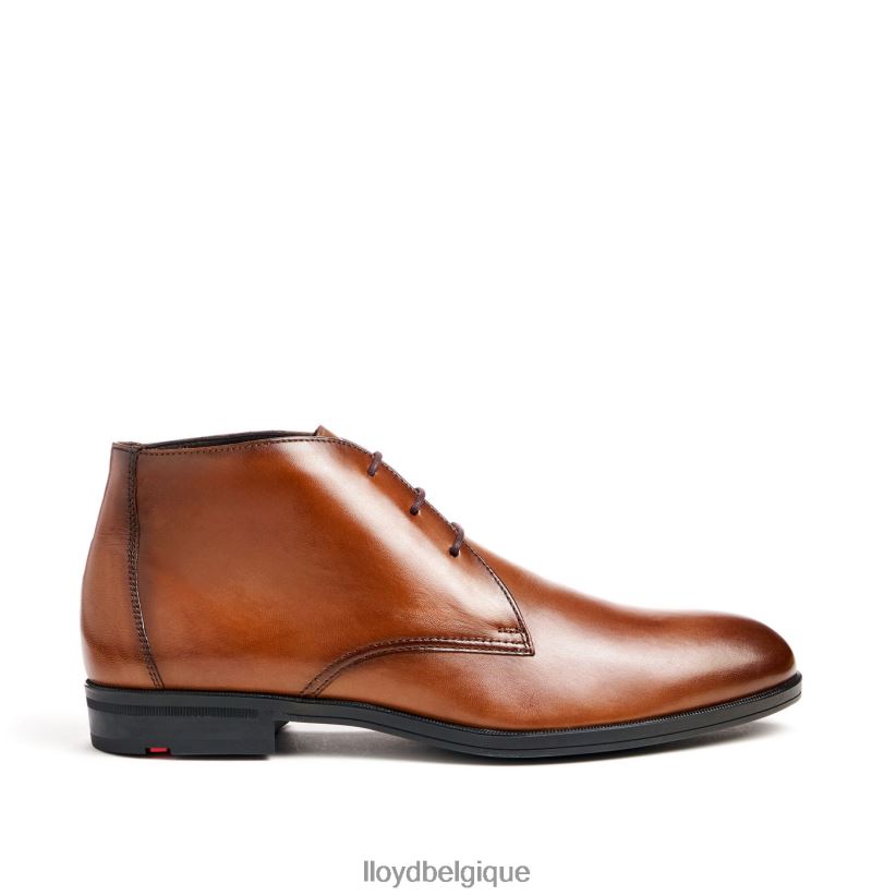 LLOYD Feliciano Hommes brun 4Z6Z6654 chaussures