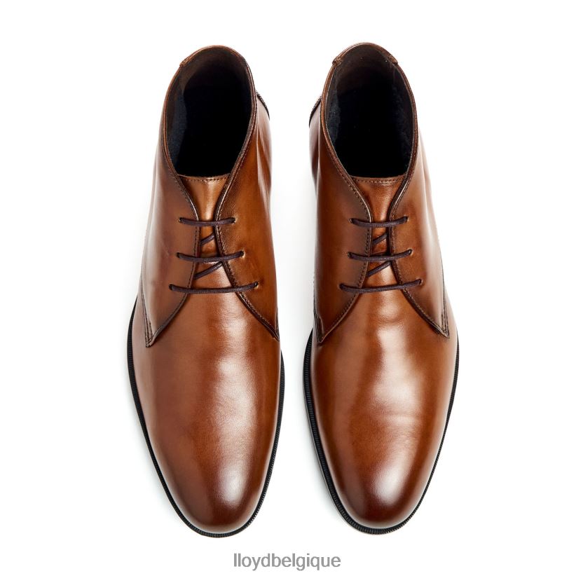 LLOYD Feliciano Hommes brun 4Z6Z6654 chaussures