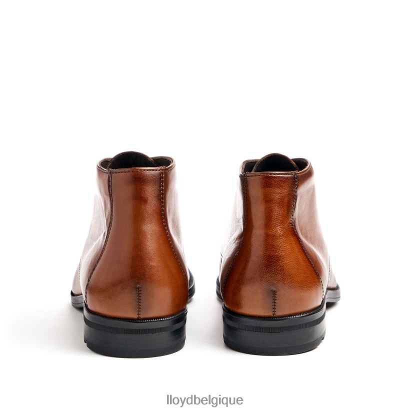 LLOYD Feliciano Hommes brun 4Z6Z6654 chaussures