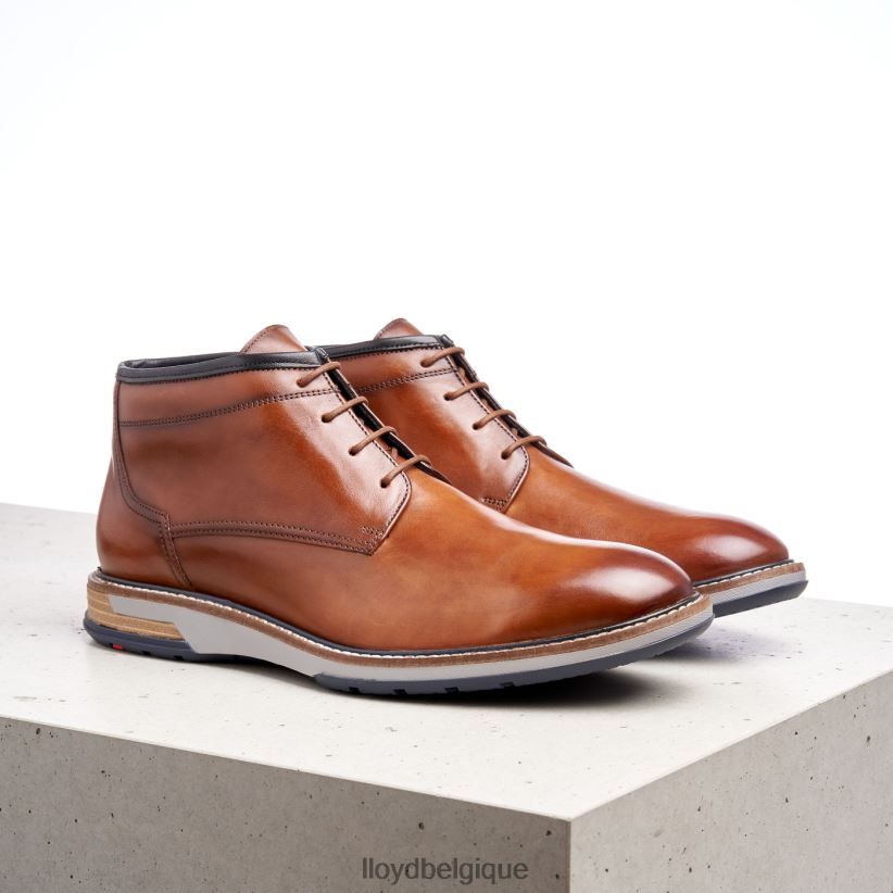 LLOYD Gijón Hommes brun 4Z6Z66556 chaussures