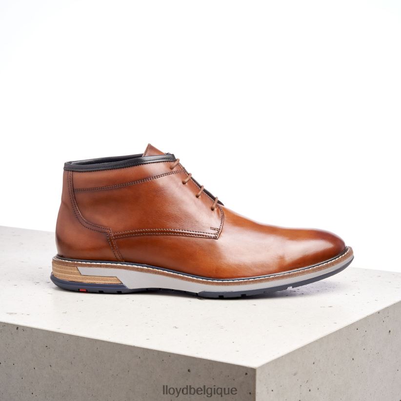 LLOYD Gijón Hommes brun 4Z6Z66556 chaussures