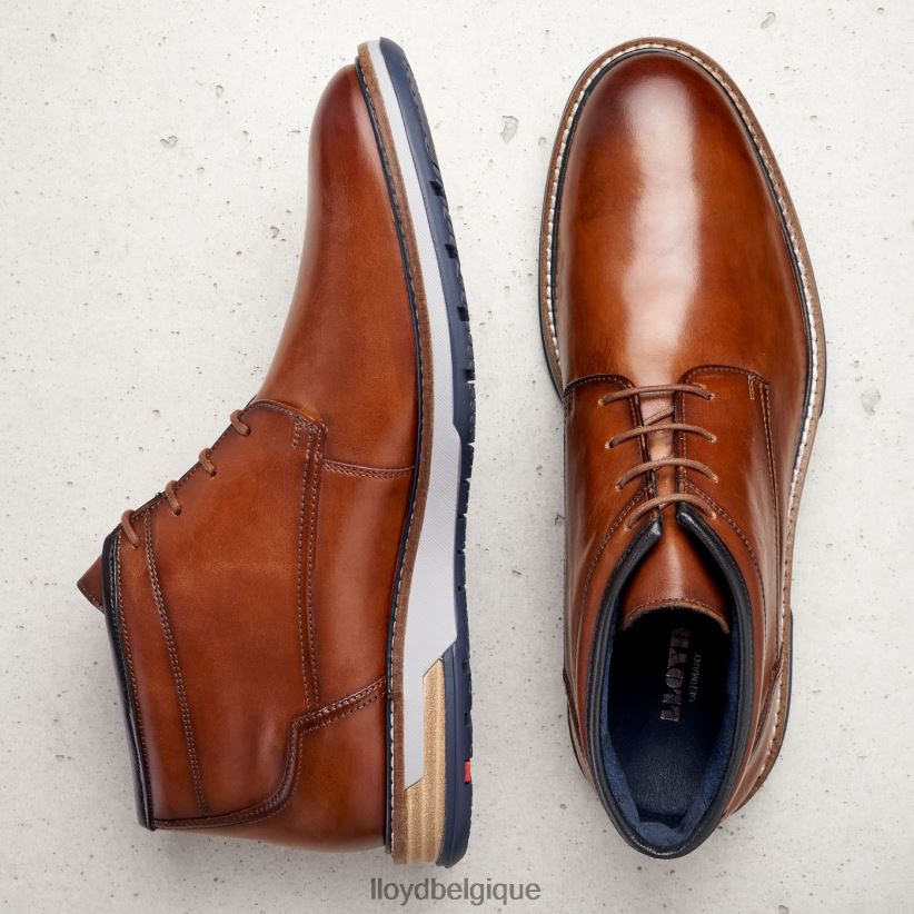 LLOYD Gijón Hommes brun 4Z6Z66556 chaussures