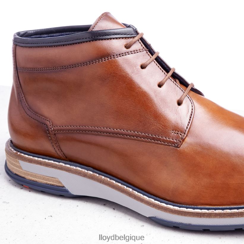 LLOYD Gijón Hommes brun 4Z6Z66556 chaussures
