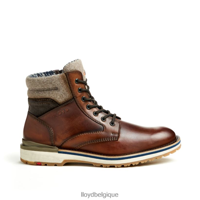 LLOYD Glenn Hommes brun 4Z6Z66482 chaussures