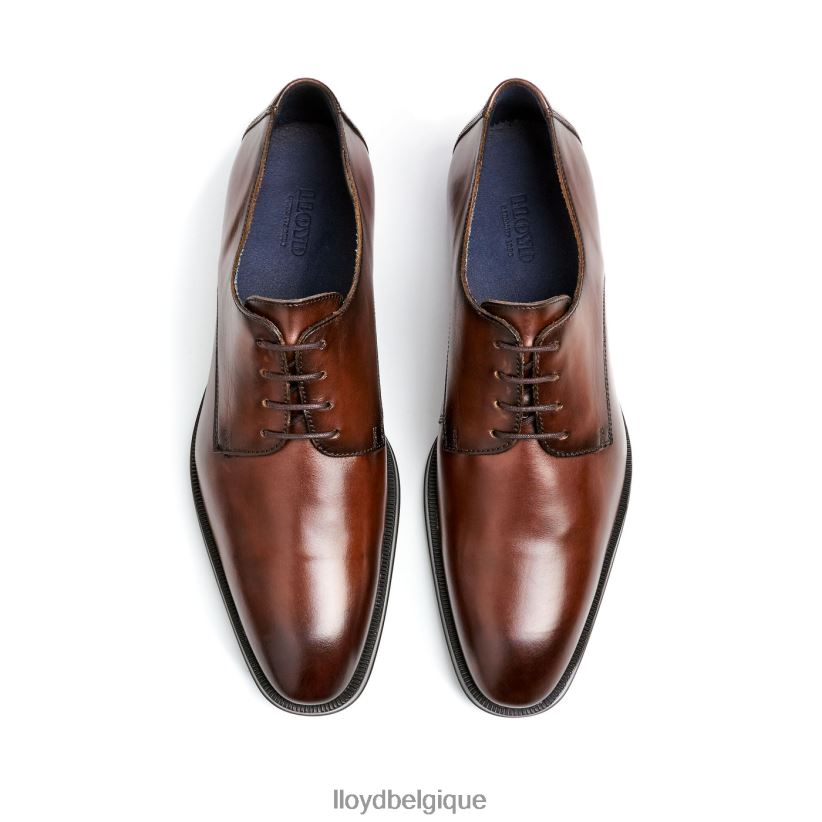 LLOYD Gédéon Hommes brun 4Z6Z663 chaussures