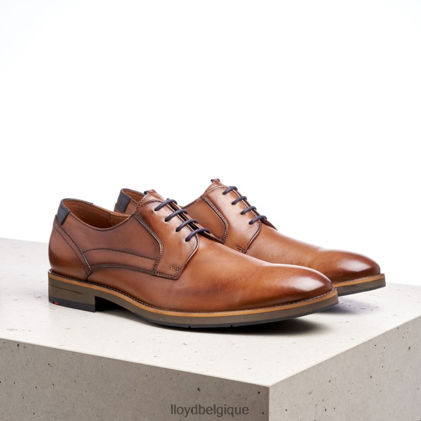 LLOYD Haldan Hommes brun 4Z6Z66172 chaussures