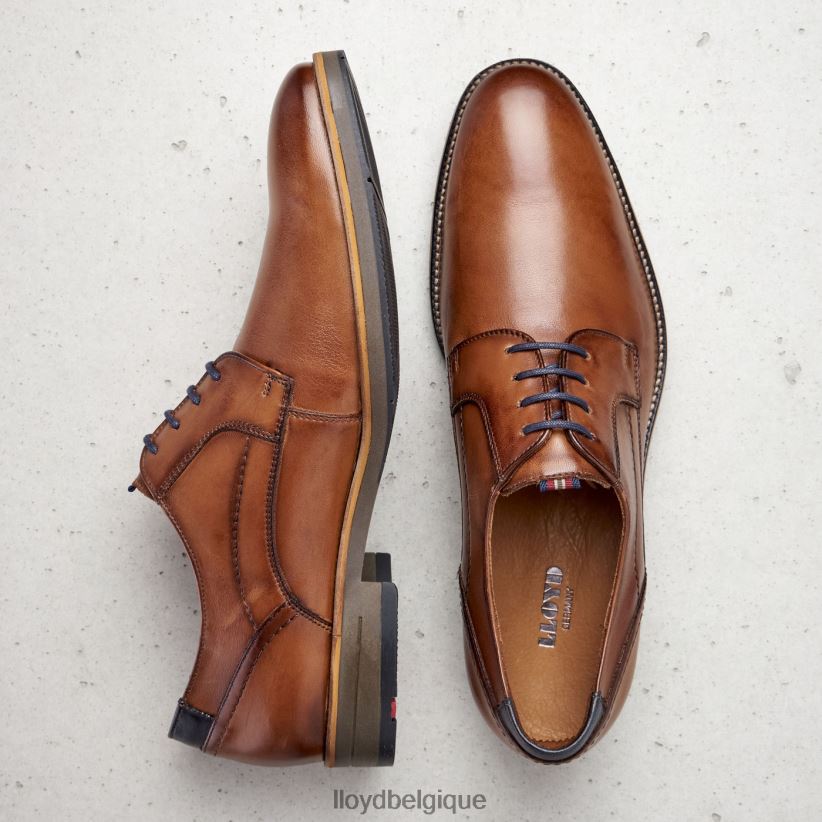 LLOYD Haldan Hommes brun 4Z6Z66172 chaussures