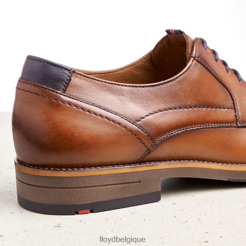 LLOYD Haldan Hommes brun 4Z6Z66172 chaussures