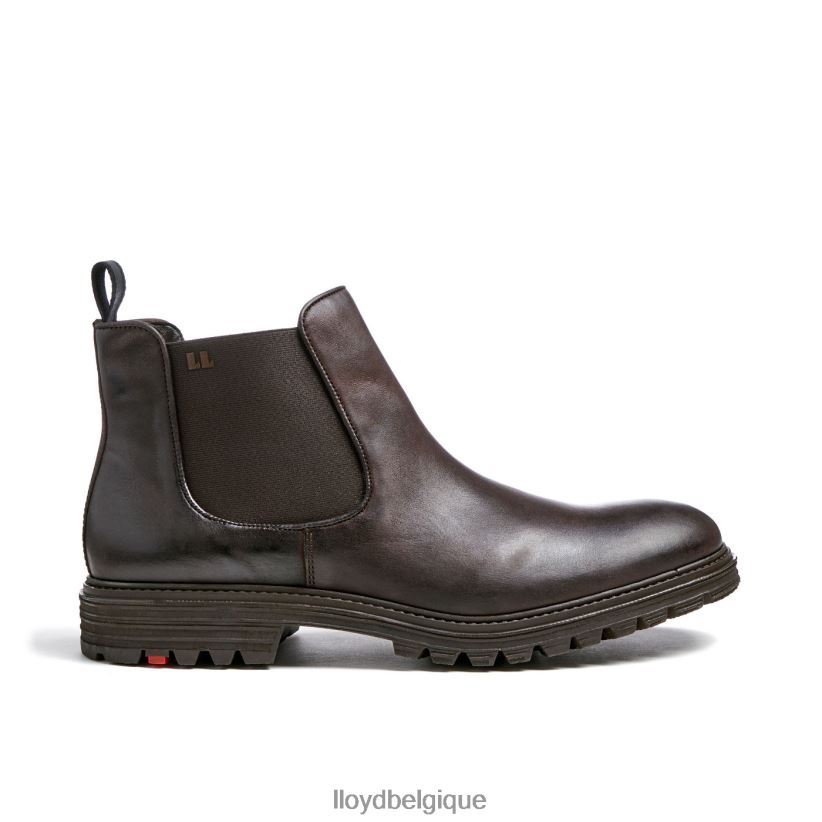 LLOYD Harwich Hommes brun 4Z6Z66478 chaussures