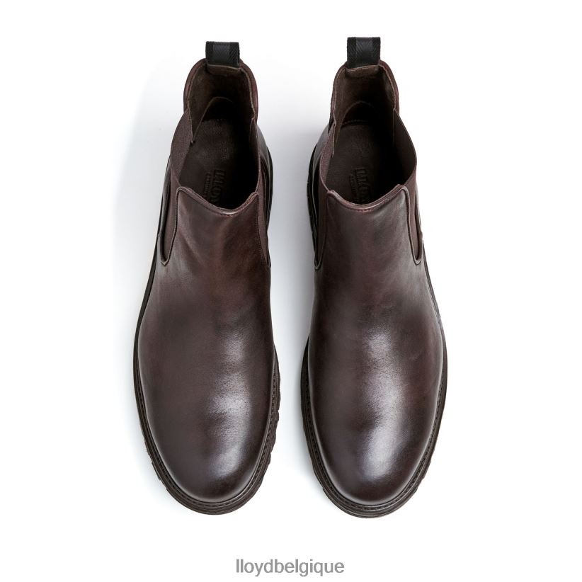 LLOYD Harwich Hommes brun 4Z6Z66478 chaussures
