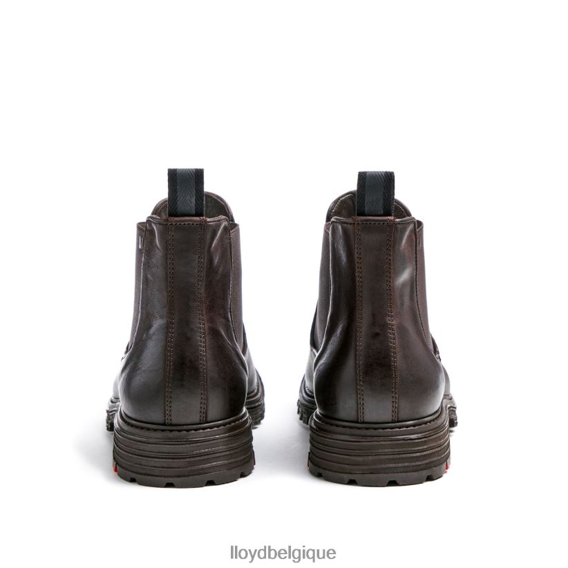 LLOYD Harwich Hommes brun 4Z6Z66478 chaussures