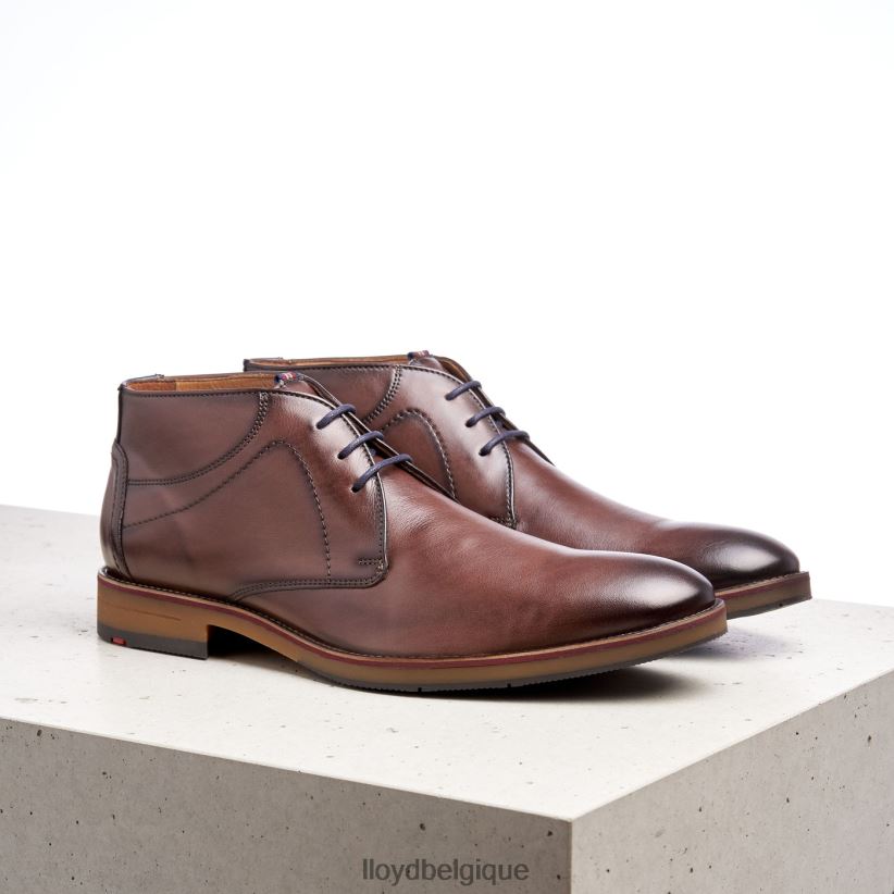 LLOYD Hastings Hommes brun 4Z6Z66566 chaussures