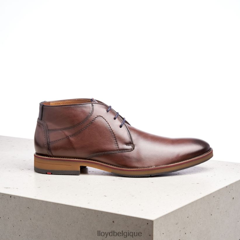 LLOYD Hastings Hommes brun 4Z6Z66566 chaussures