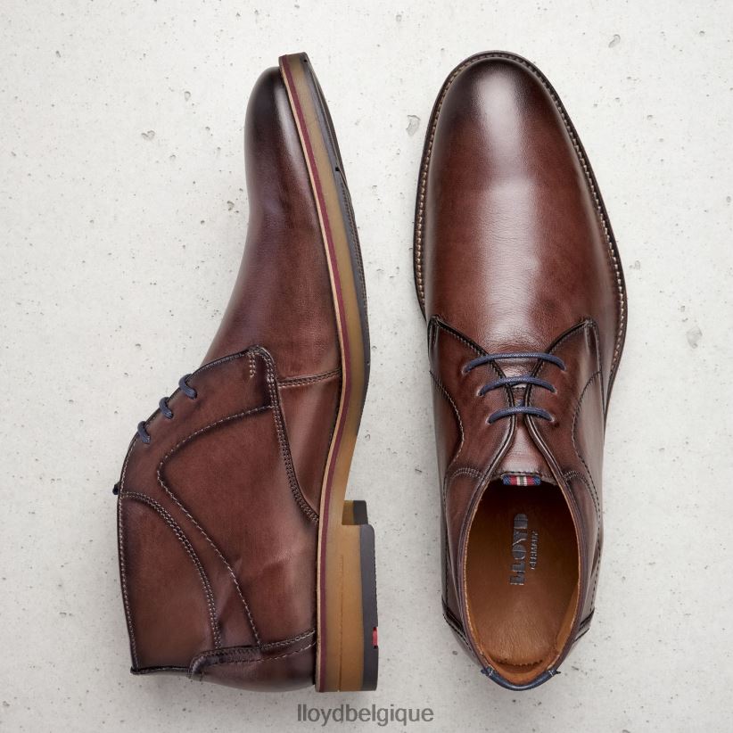 LLOYD Hastings Hommes brun 4Z6Z66566 chaussures