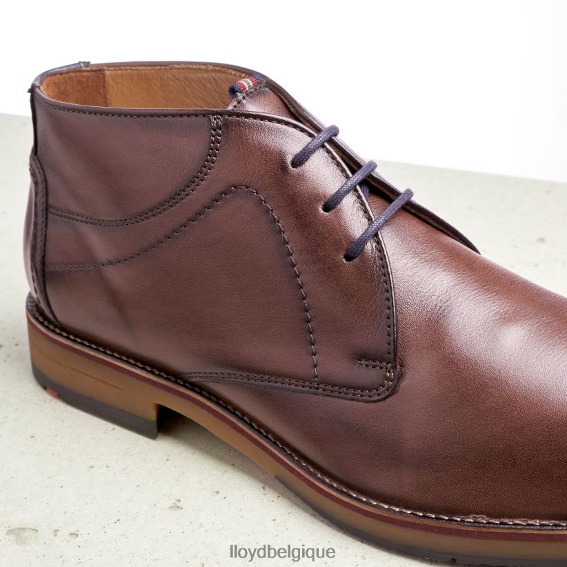 LLOYD Hastings Hommes brun 4Z6Z66566 chaussures