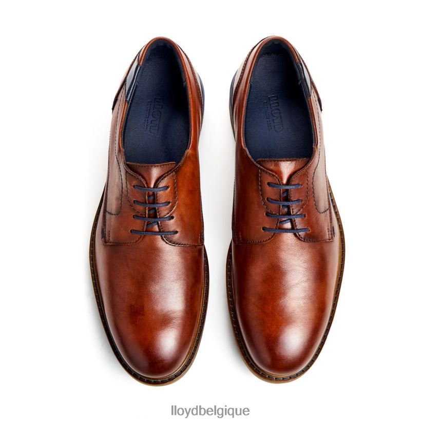 LLOYD Helsinki Hommes brun 4Z6Z66586 chaussures