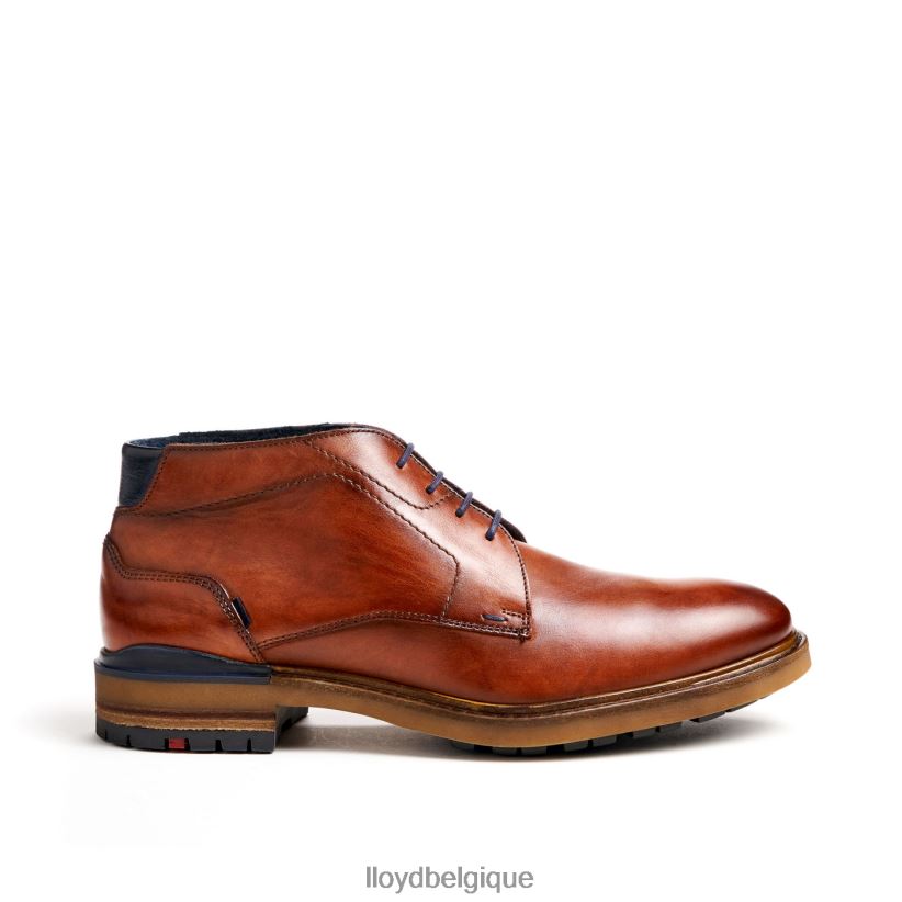 LLOYD Hengelo Hommes brun 4Z6Z66463 chaussures