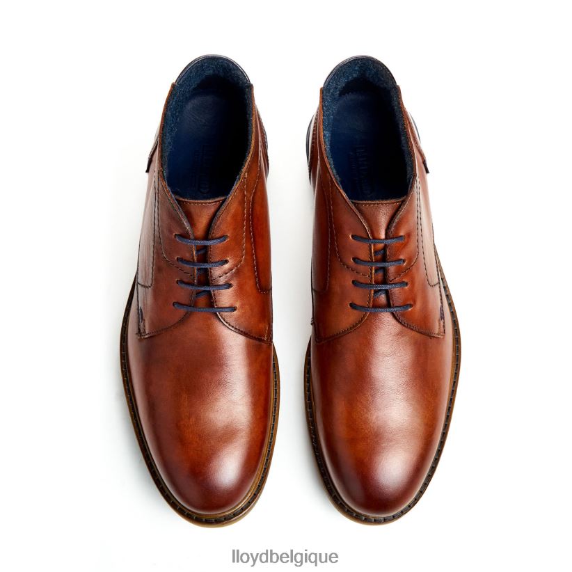 LLOYD Hengelo Hommes brun 4Z6Z66463 chaussures