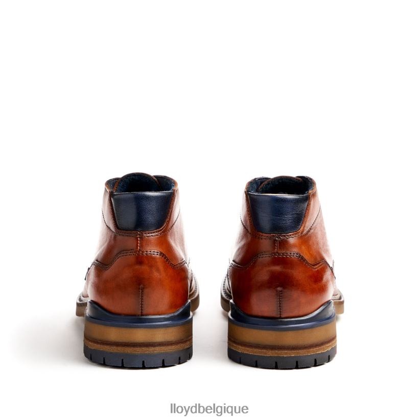 LLOYD Hengelo Hommes brun 4Z6Z66463 chaussures