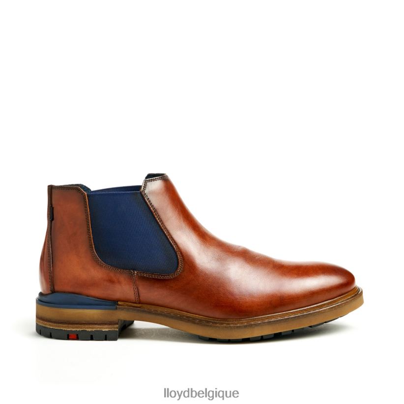 LLOYD Henri Hommes brun 4Z6Z66464 chaussures