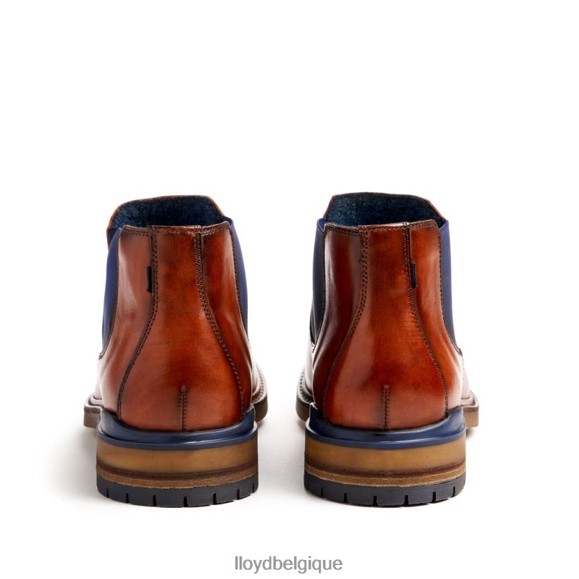 LLOYD Henri Hommes brun 4Z6Z66464 chaussures