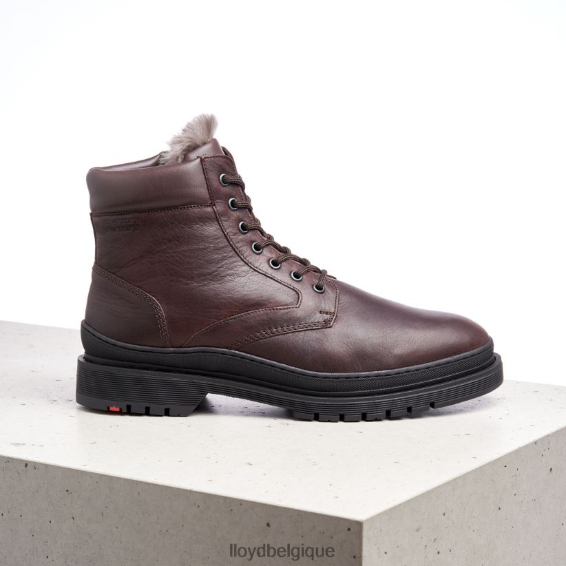 LLOYD Hollis Hommes brun 4Z6Z66509 chaussures