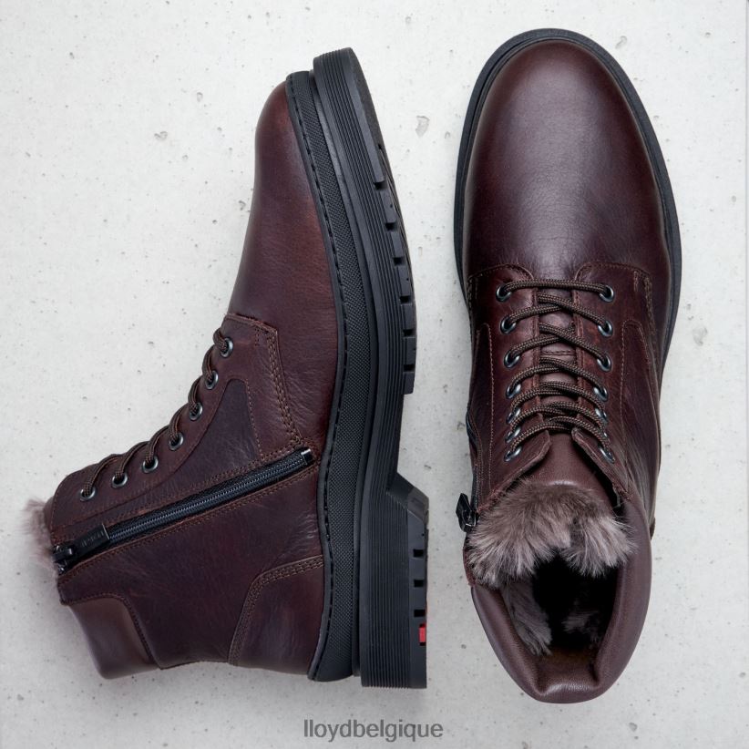 LLOYD Hollis Hommes brun 4Z6Z66509 chaussures