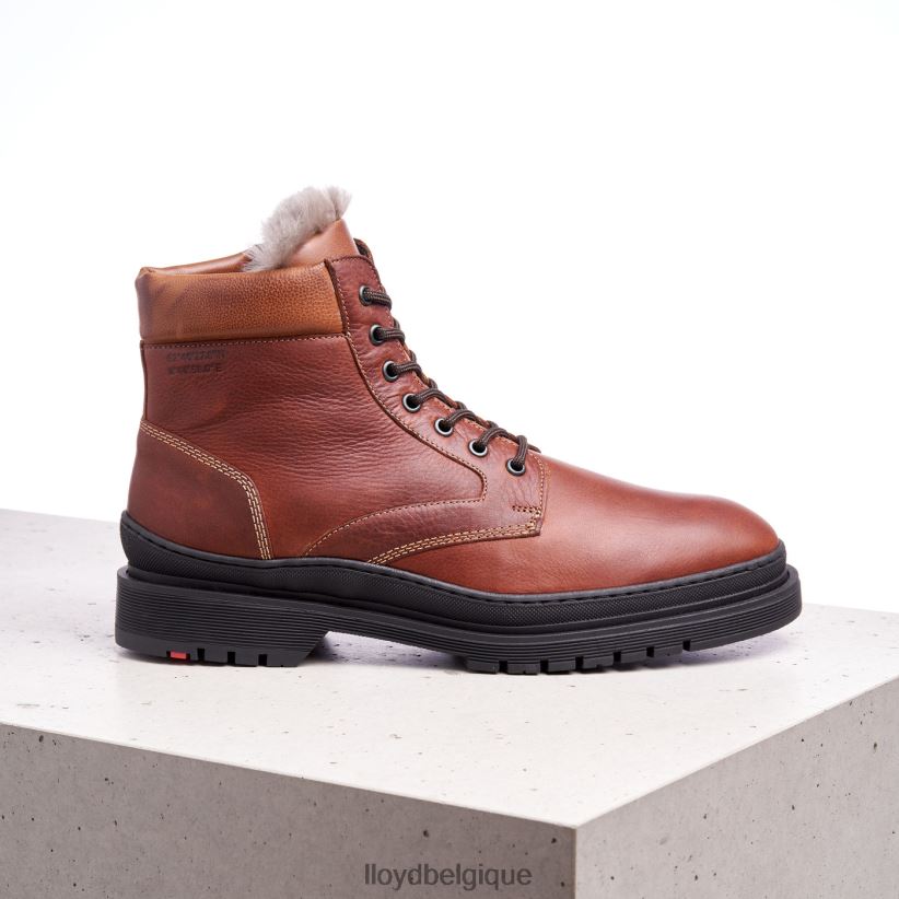 LLOYD Hollis Hommes brun 4Z6Z66537 chaussures