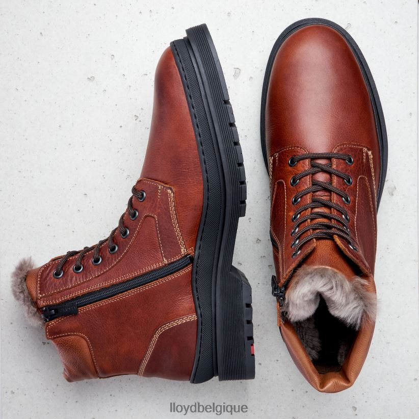 LLOYD Hollis Hommes brun 4Z6Z66537 chaussures