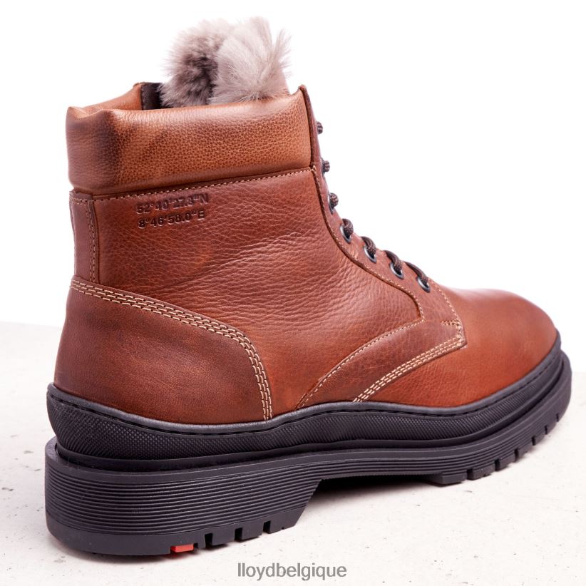 LLOYD Hollis Hommes brun 4Z6Z66537 chaussures