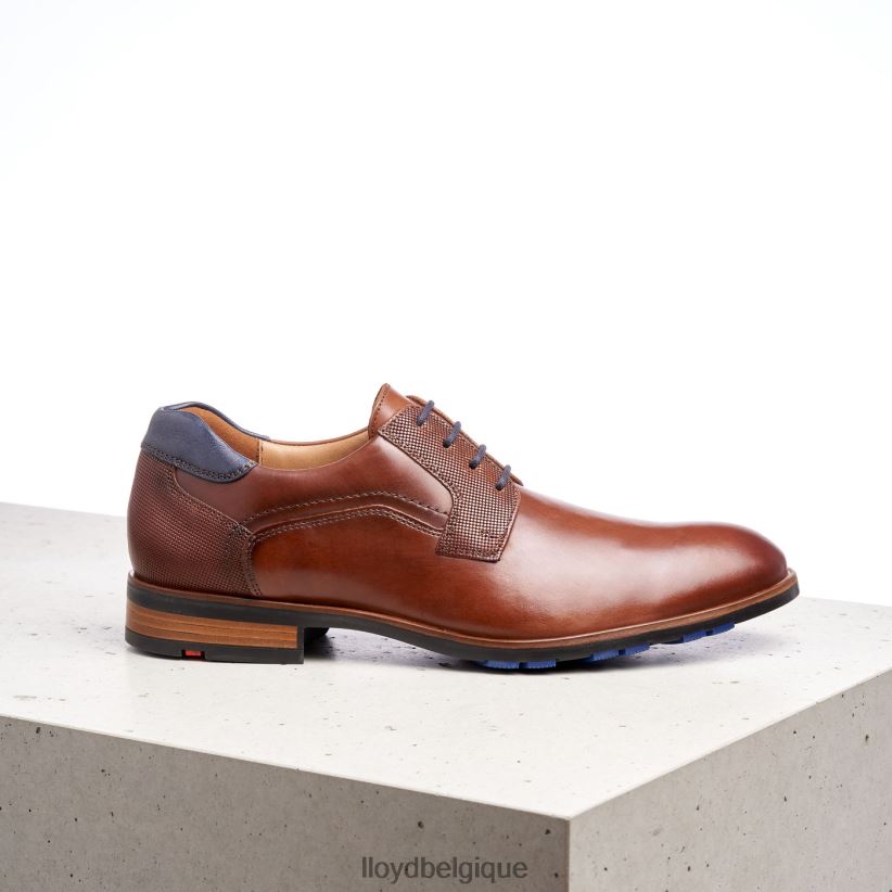 LLOYD Jake Hommes brun 4Z6Z66199 chaussures