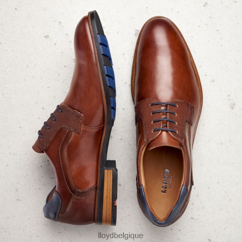 LLOYD Jake Hommes brun 4Z6Z66199 chaussures