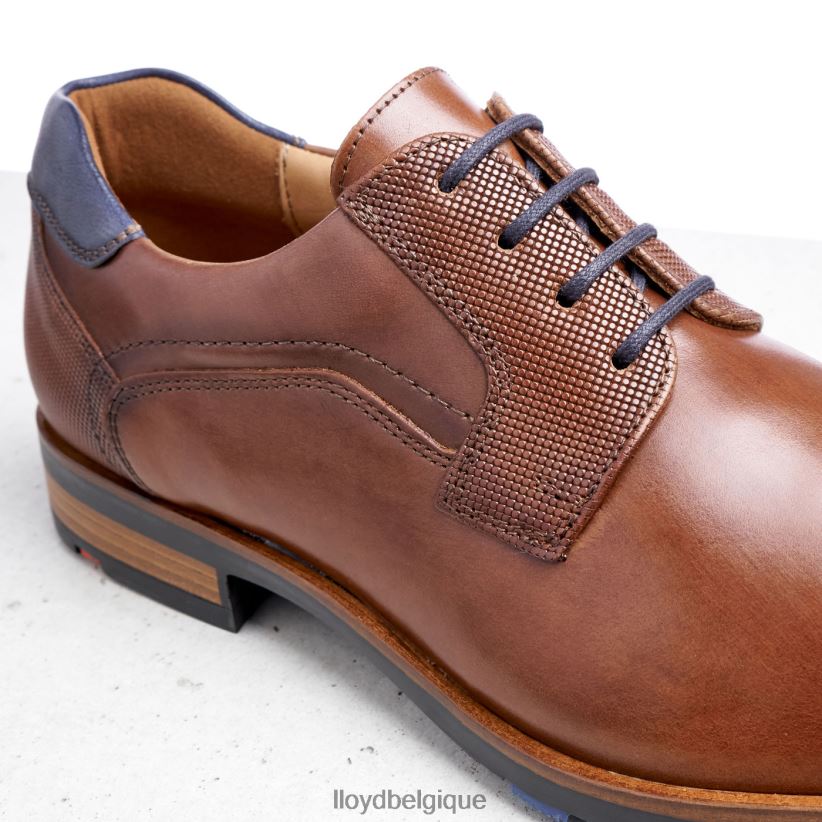 LLOYD Jake Hommes brun 4Z6Z66199 chaussures