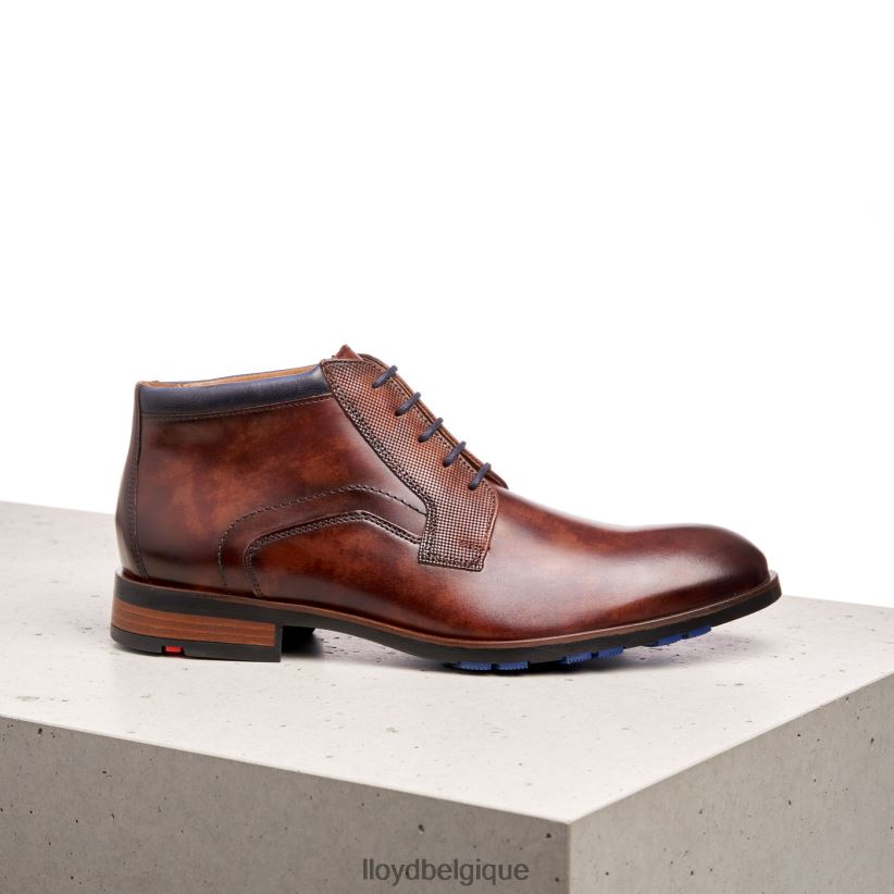 LLOYD Jaron Hommes brun 4Z6Z66542 chaussures