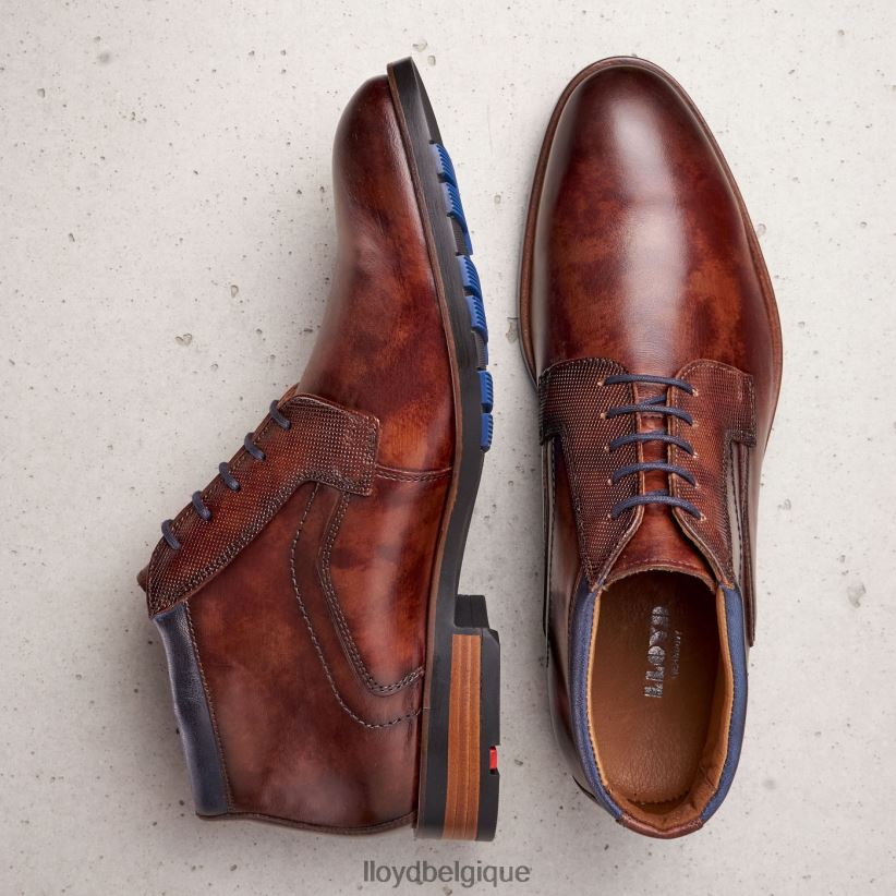 LLOYD Jaron Hommes brun 4Z6Z66542 chaussures