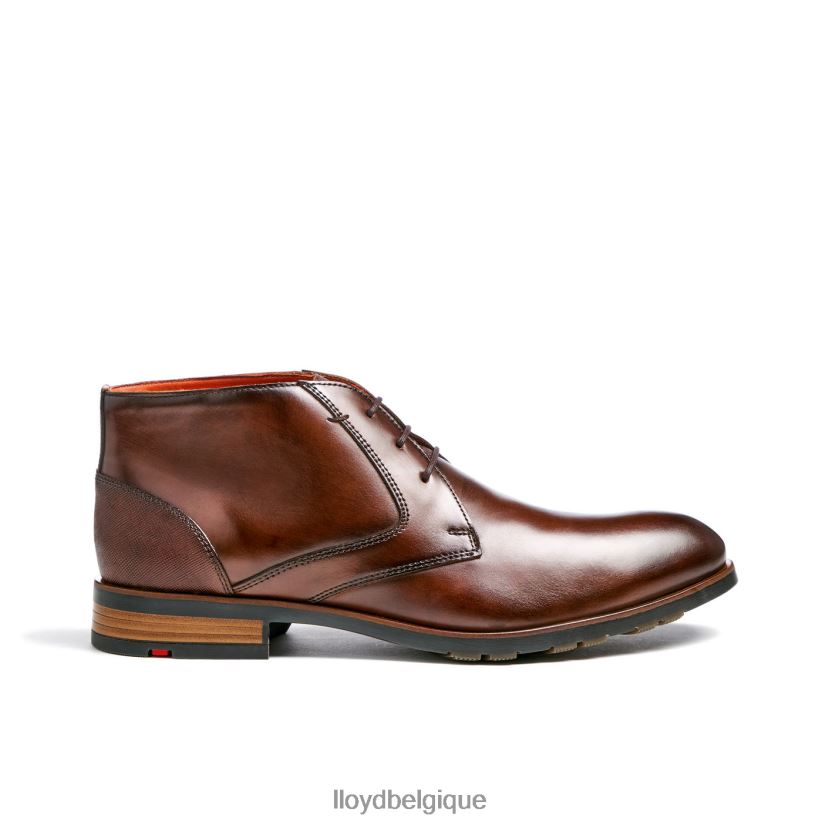 LLOYD Jeffrey Hommes brun 4Z6Z66471 chaussures