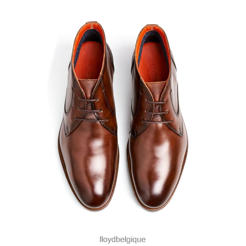 LLOYD Jeffrey Hommes brun 4Z6Z66471 chaussures