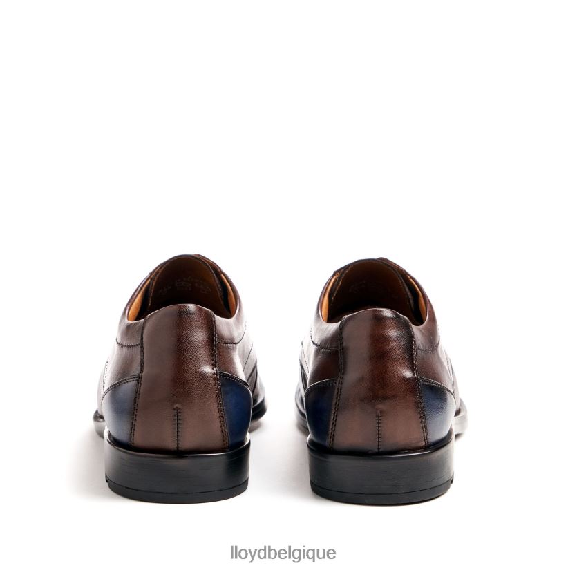 LLOYD Kain (extra-large) Hommes brun 4Z6Z6651 chaussures