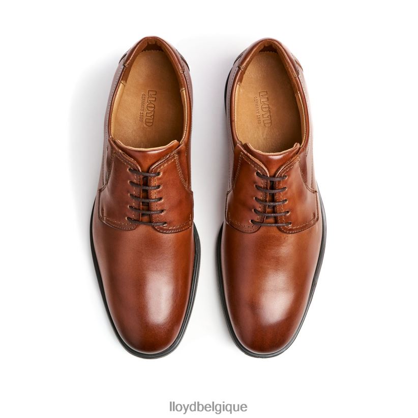 LLOYD Kentucky (extra-large) Hommes brun 4Z6Z66120 chaussures