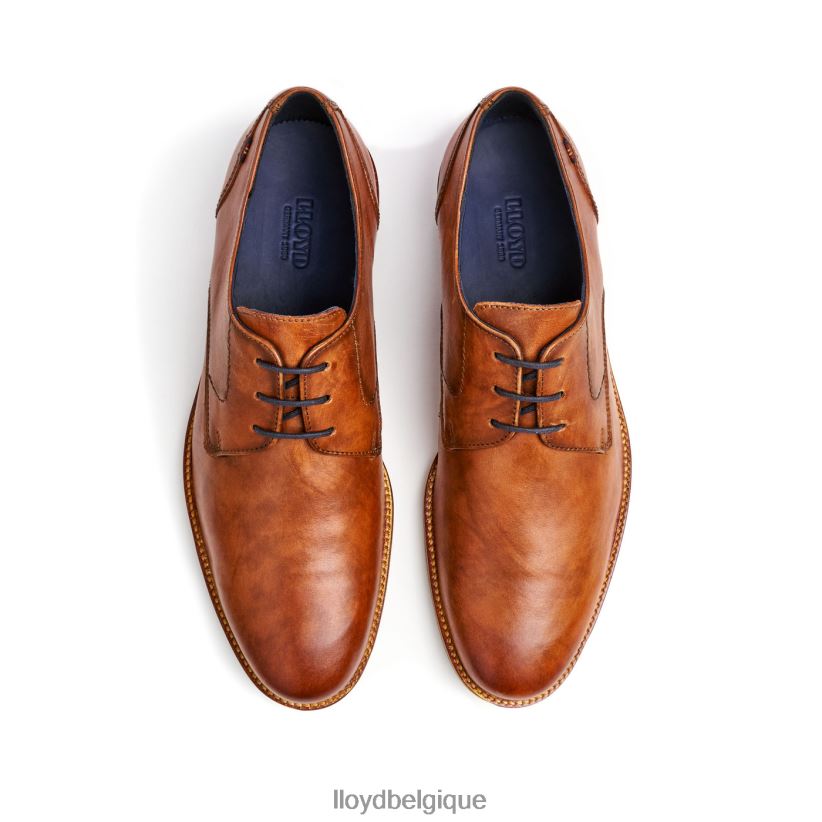 LLOYD Langton Hommes brun 4Z6Z6627 chaussures