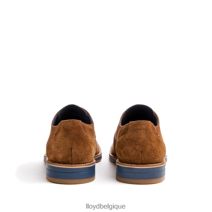 LLOYD Langton Hommes brun 4Z6Z6688 chaussures